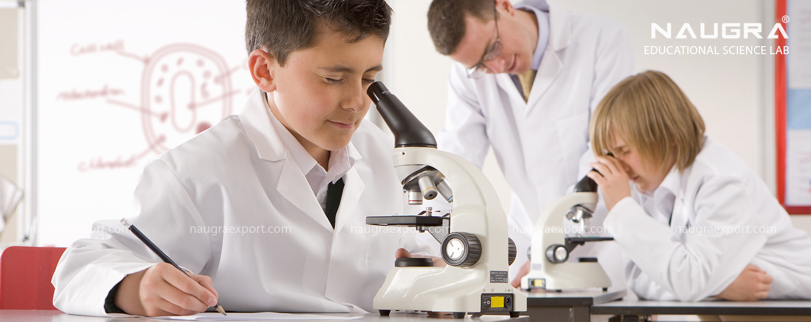 Educational Laboratory Equipments Manufacturers India