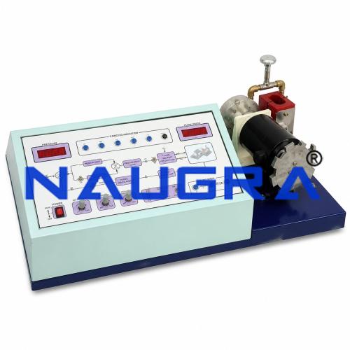Motor Control Trainer