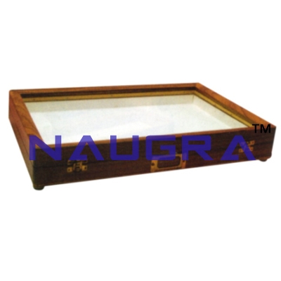 Insect Storage Box for Biology Lab