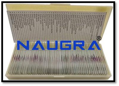 Microscope Slide Set -- Histology (50 Slides)