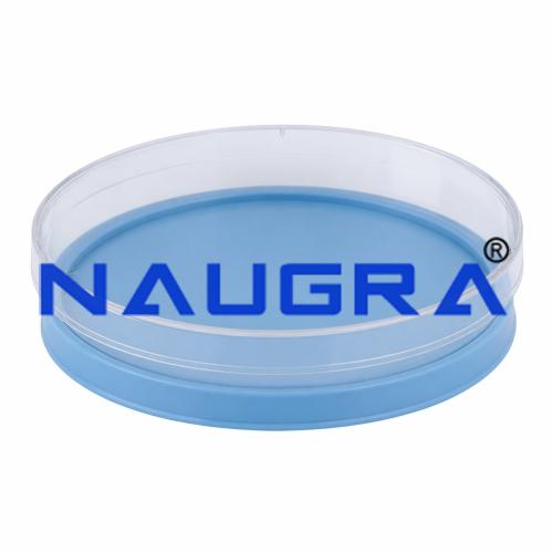 PETRI DISH for Science Lab