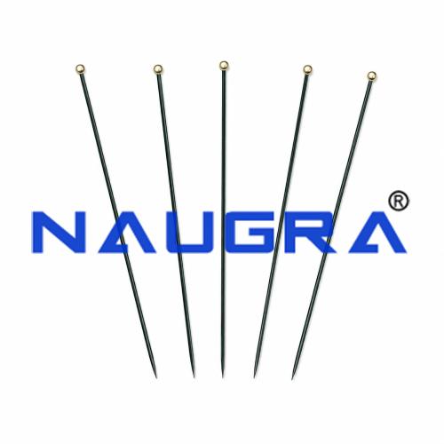 Entomological Pins for Biology Lab